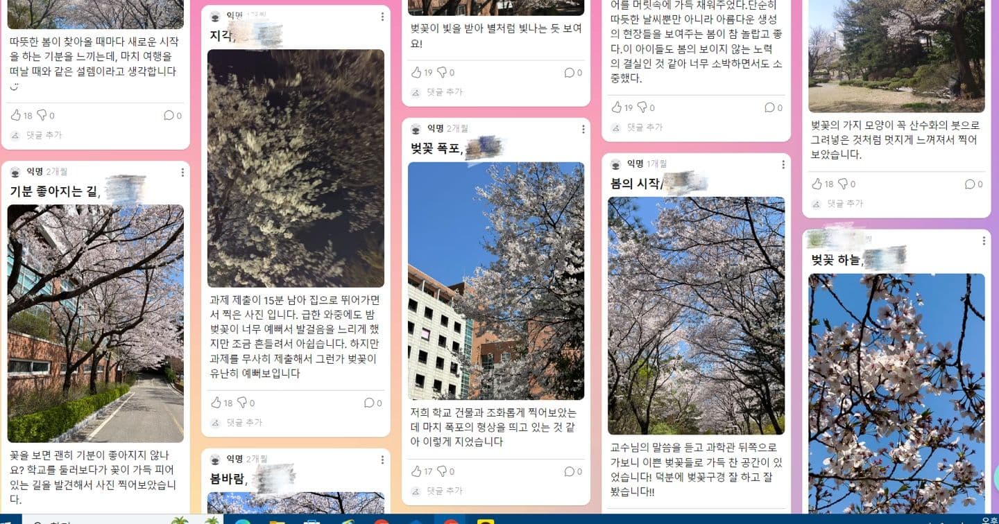 ❀봄 사진 콘테스트❀ (4/9)